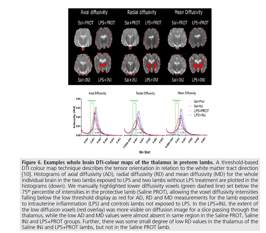 imaging-in-medicine-colour-map