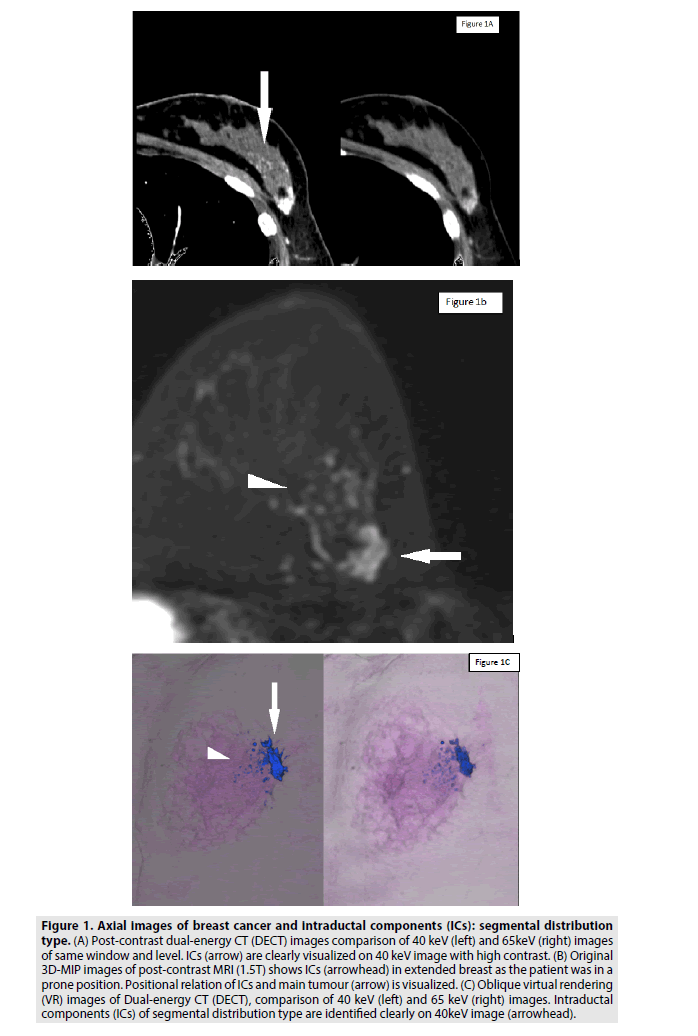imaging-in-medicine-components