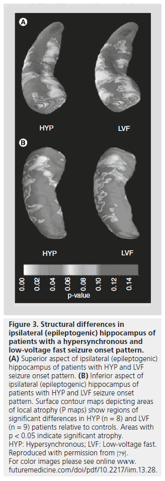 imaging-in-medicine-contour-maps