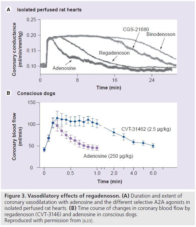 imaging-in-medicine-coronary-vasodilatation