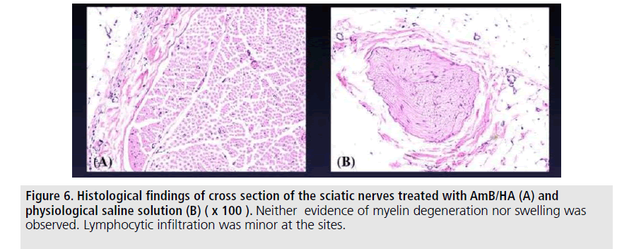 imaging-in-medicine-cross-section