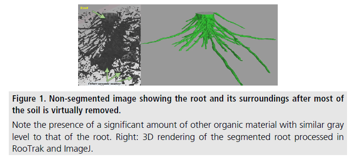 imaging-in-medicine-organic-material