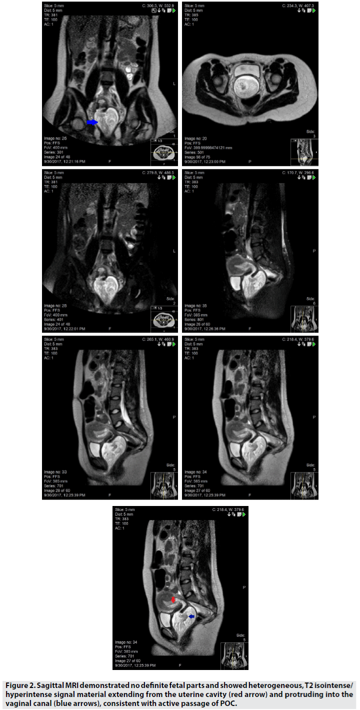 imaging-in-medicine-demonstrated