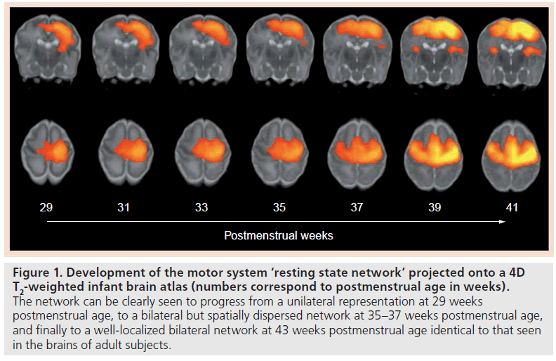 imaging-in-medicine-dispersed-network