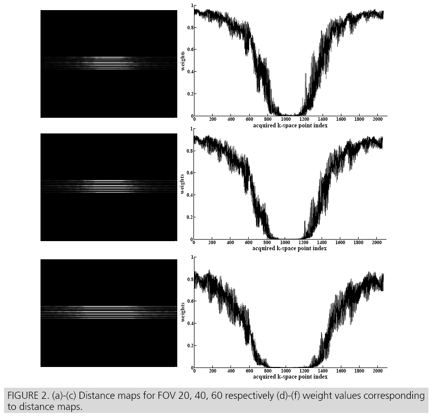 imaging-in-medicine-distance-maps