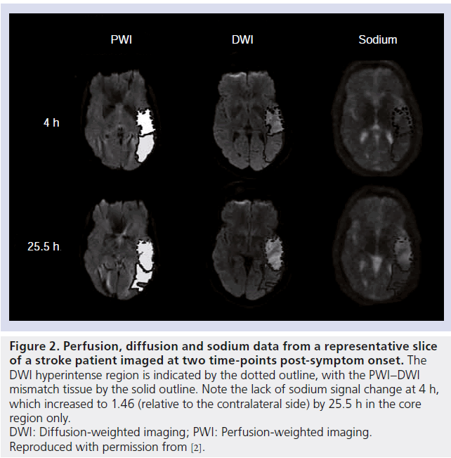 imaging-in-medicine-dotted-outline