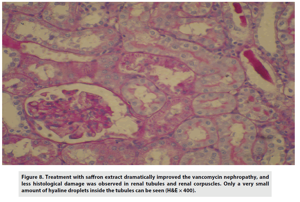 imaging-in-medicine-dramatically