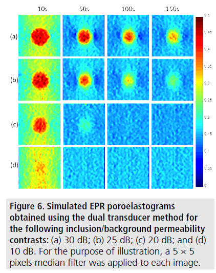 imaging-in-medicine-dual-transducer