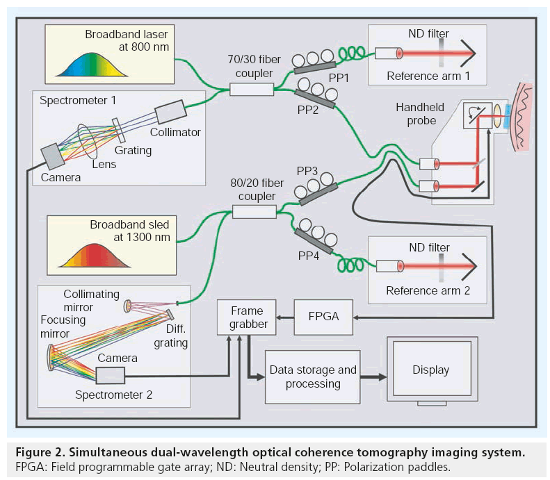 imaging-in-medicine-dual-wavelength