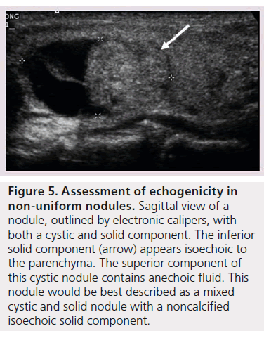 imaging-in-medicine-electronic-calipers