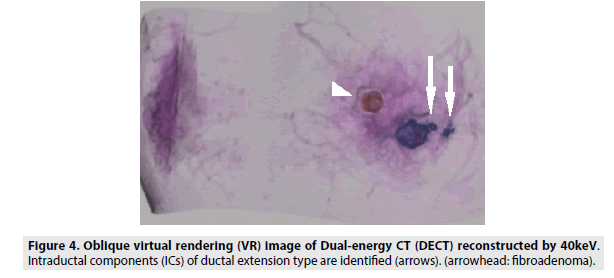 imaging-in-medicine-extension