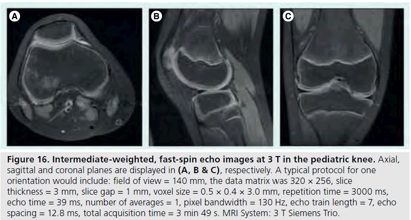 imaging-in-medicine-fast-spin