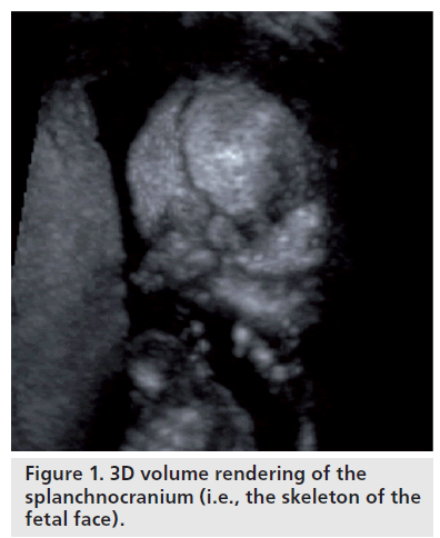 imaging-in-medicine-fetal-face