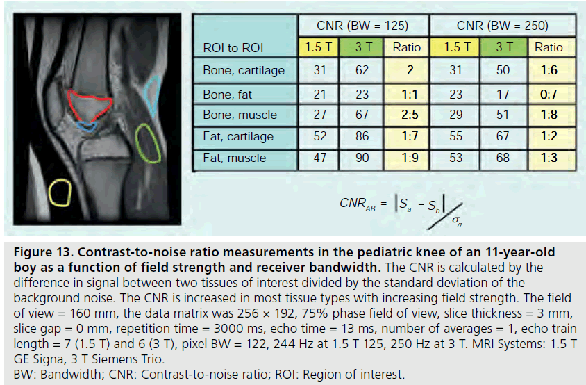 imaging-in-medicine-field-strength