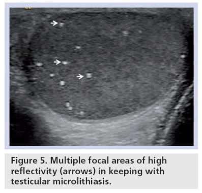 imaging-in-medicine-focal-areas