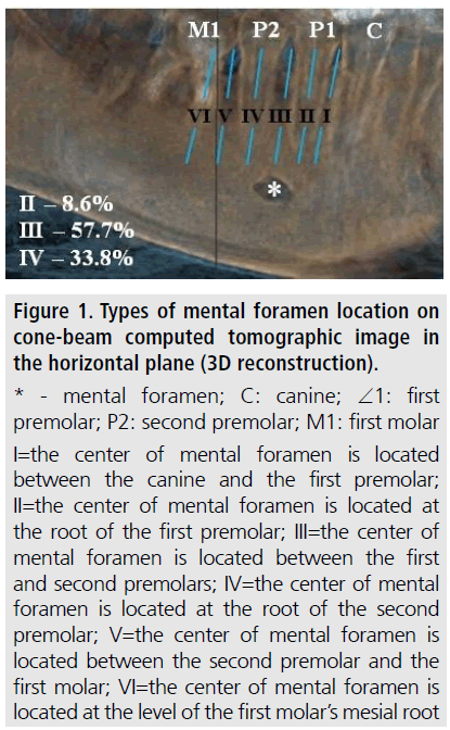 imaging-in-medicine-foramen-location