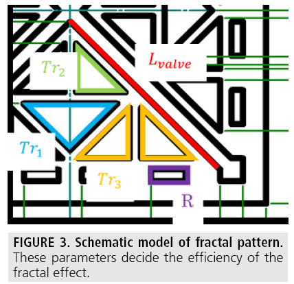 imaging-in-medicine-fractal-pattern