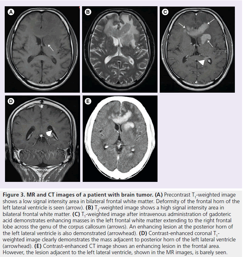 imaging-in-medicine-frontal-white