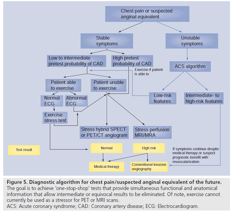 imaging-in-medicine-functional-anatomical