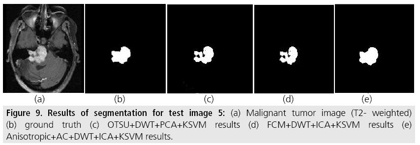 imaging-in-medicine-ground-truth