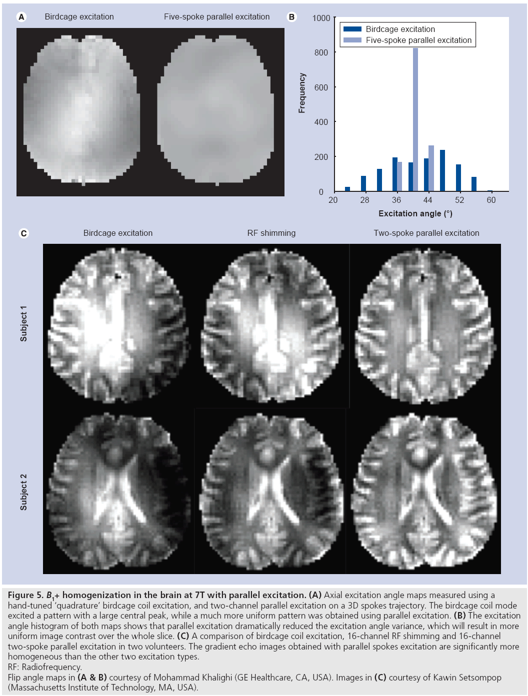 imaging-in-medicine-homogenization