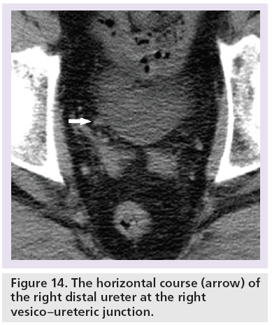 imaging-in-medicine-horizontal-course