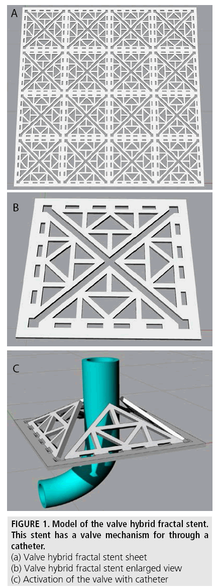 imaging-in-medicine-hybrid-fractal