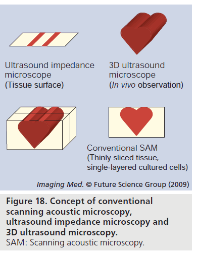 imaging-in-medicine-impedance-microscopy