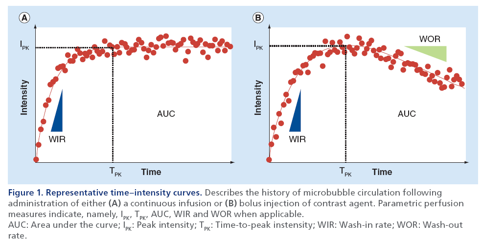 imaging-in-medicine-intensity-curves