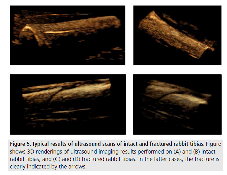 imaging-in-medicine-latter-cases