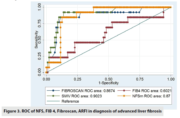 imaging-in-medicine-liver-fibrosis