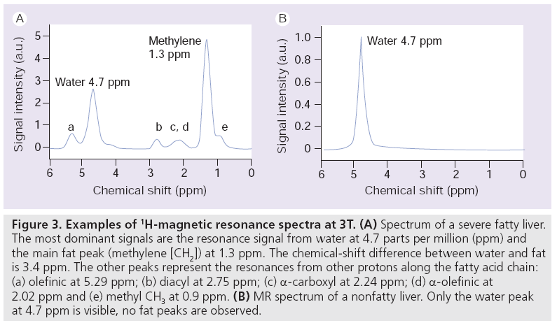 imaging-in-medicine-magnetic-resonance