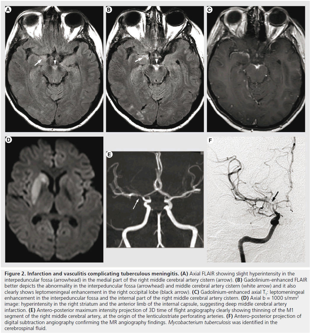 imaging-in-medicine-medial-part