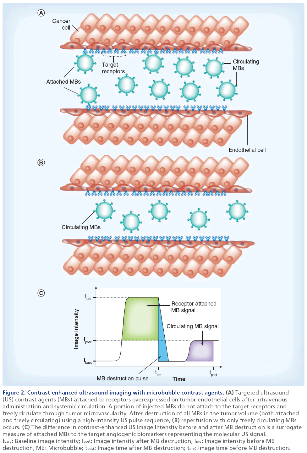 imaging-in-medicine-microbubble