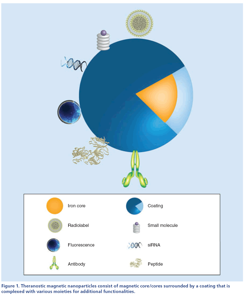 imaging-in-medicine-nanoparticles