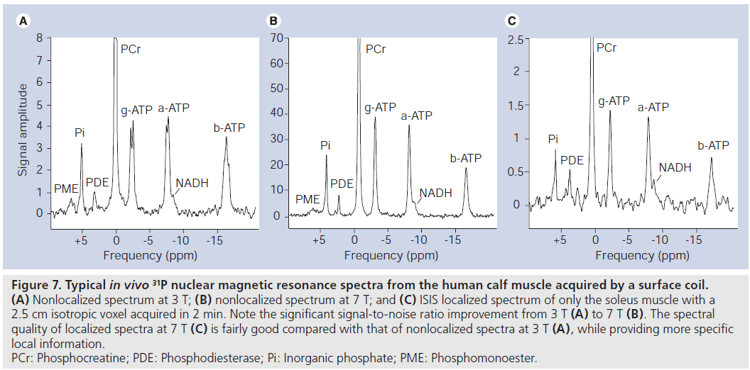 imaging-in-medicine-nuclear–magnetic