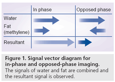 imaging-in-medicine-opposed-phase