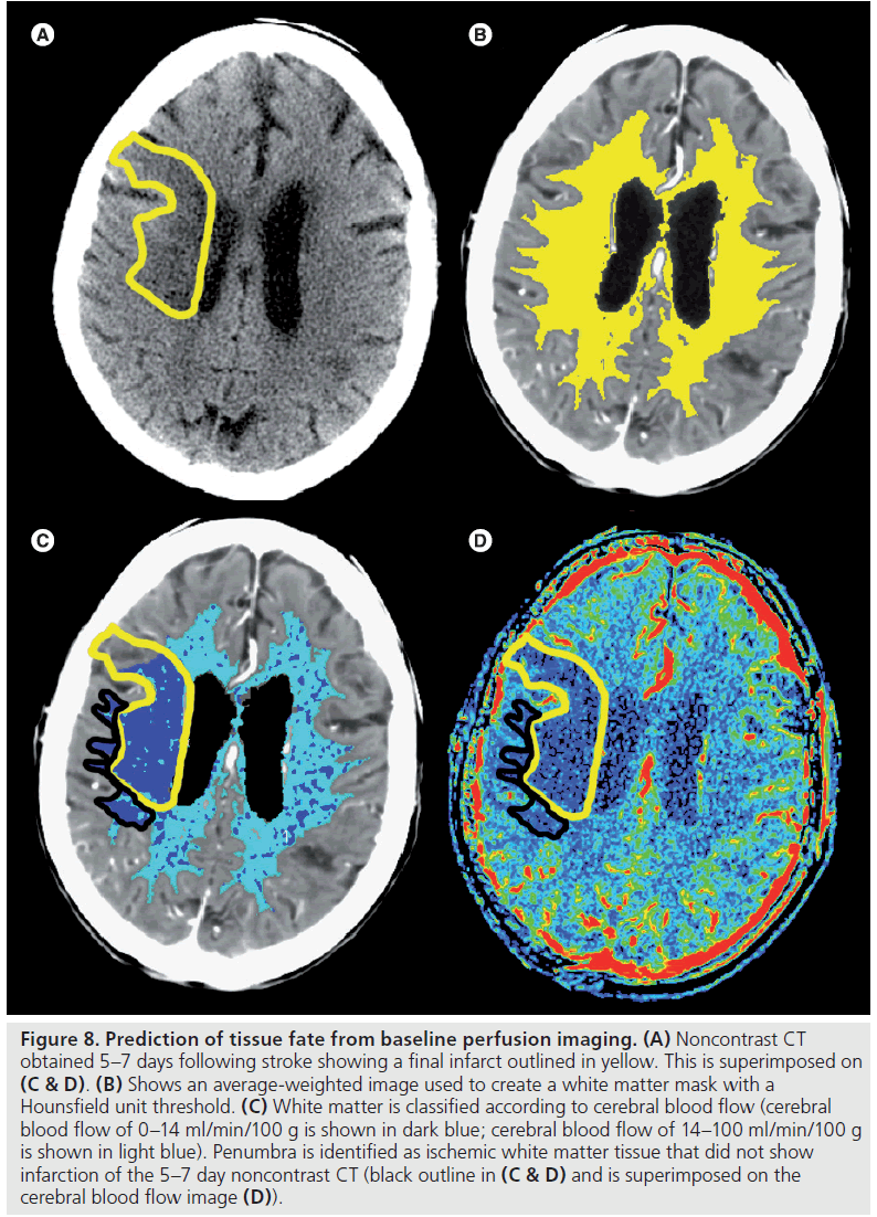 imaging-in-medicine-outlined-yellow