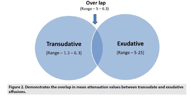 imaging-in-medicine-overlap