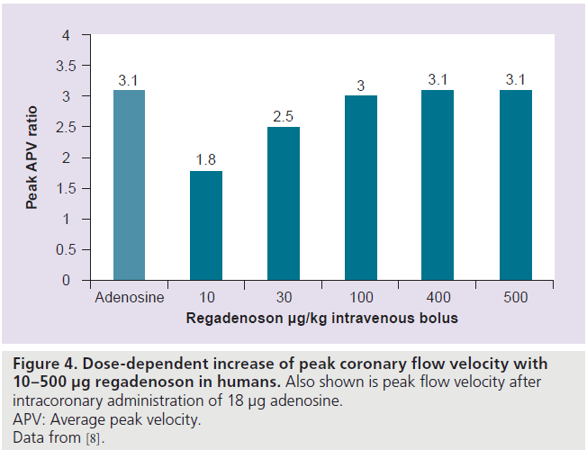 imaging-in-medicine-peak-coronary