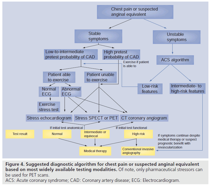 imaging-in-medicine-pharmaceutical-stressors