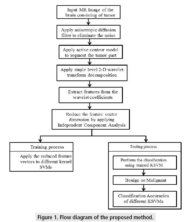 imaging-in-medicine-proposed-method