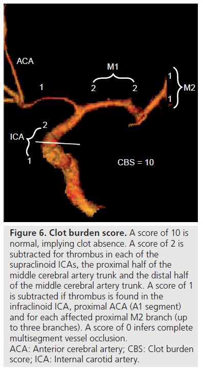 imaging-in-medicine-proximal-half