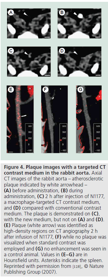 imaging-in-medicine-rabbit-aorta