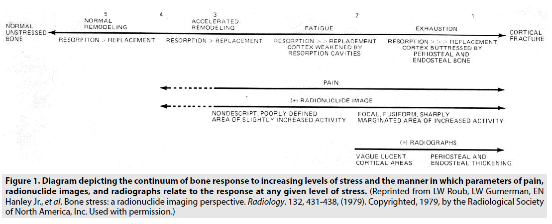 imaging-in-medicine-radionuclide-images