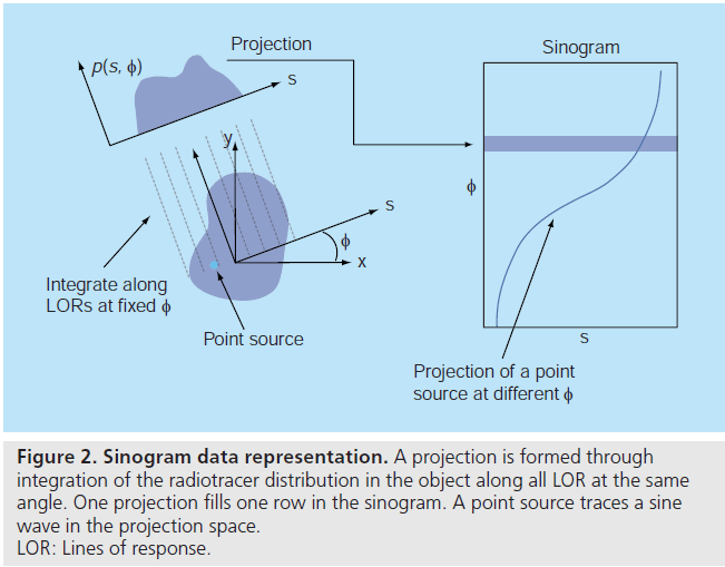 imaging-in-medicine-radiotracer-distribution