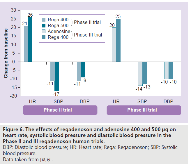 imaging-in-medicine-regadenoson-adenosine