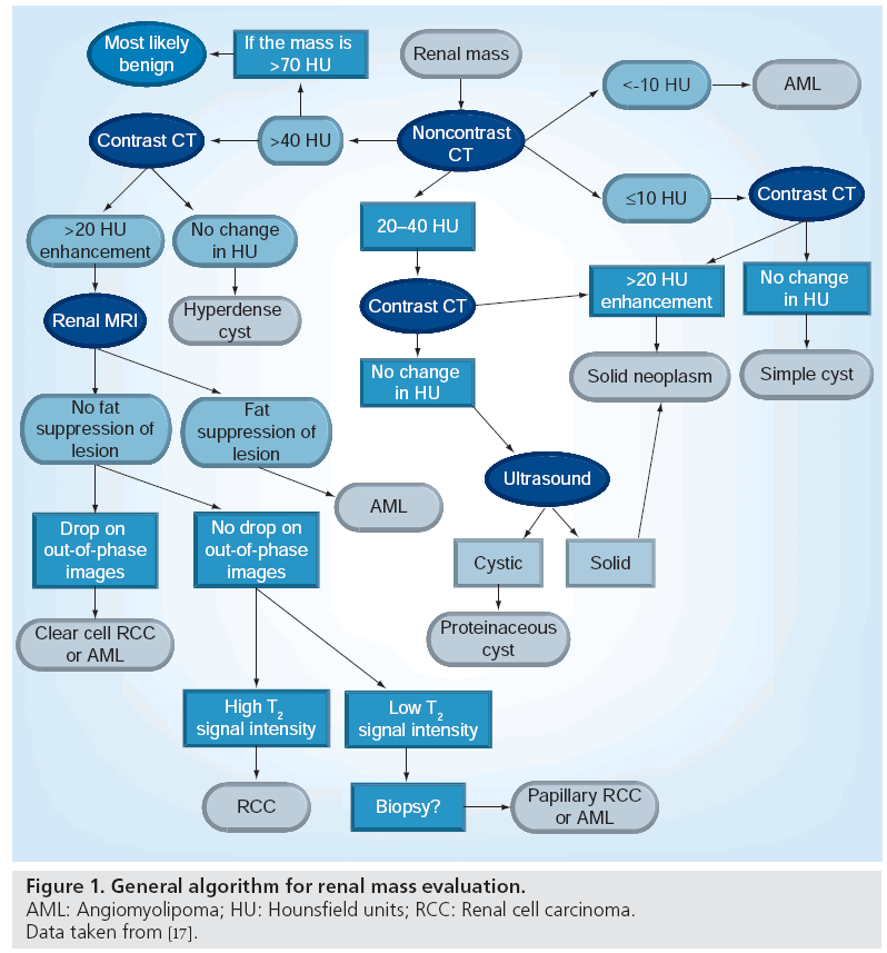 imaging-in-medicine-renal-mass