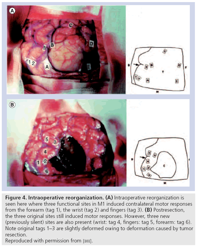 imaging-in-medicine-reorganization