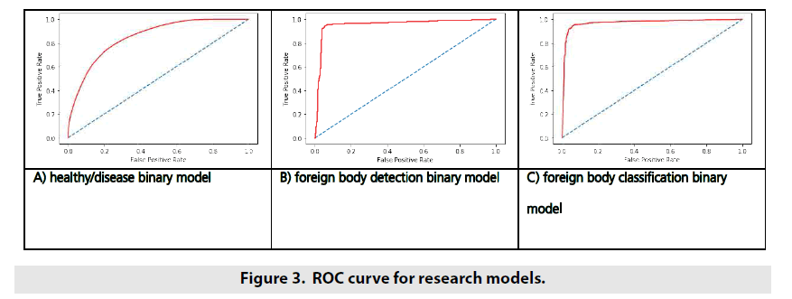 imaging-in-medicine-research-models
